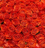 Load image into Gallery viewer, ORANGE ROSES - bloombybunches