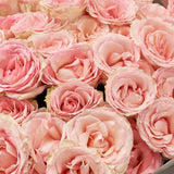 Load image into Gallery viewer, PINK ROSES - bloombybunches