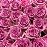 Load image into Gallery viewer, PINK ROSES - bloombybunches