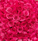 Load image into Gallery viewer, PINK ROSES - bloombybunches