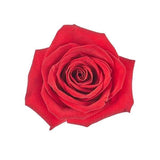 Load image into Gallery viewer, RED ROSE - Flowers