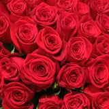 Load image into Gallery viewer, RED ROSE - Flowers