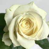 Load image into Gallery viewer, WHITE ROSES - bloombybunches