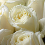 Load image into Gallery viewer, WHITE ROSES - bloombybunches