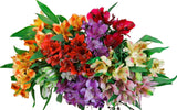 Load image into Gallery viewer, Assorted Peruvian Lily (Alstroemeria) Bouquet - bloombybunches.ca