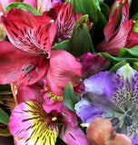 Load image into Gallery viewer, timeless beauty of Alstroemeria flowers