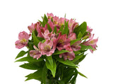 Load image into Gallery viewer, Light Pink Peruvian Lily (Alstroemeria) Bouquet - bloombybunches.ca