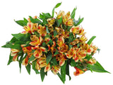 Load image into Gallery viewer, Orange Peruvian Lily (Alstroemeria)-bloombybunches.ca