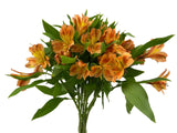 Load image into Gallery viewer, Orange Peruvian Lily (Alstroemeria) Bouquet - bloombybunches.ca