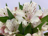 Load image into Gallery viewer, White Peruvian Lily (Alstroemeria) Bouquet in Plastic Sleeve -bloombybunches.ca