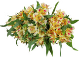 Load image into Gallery viewer, Yellow Peruvian Lily (Alstroemeria) Bouquet - bloombybunches.ca