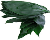 Load image into Gallery viewer, ASPIDISTRA - bloombybunches