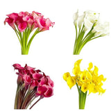 Load image into Gallery viewer, CALLA LILY MINI ASSORTED bouquet - bloombybunches