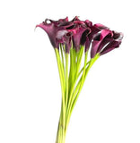 Load image into Gallery viewer, CALLA LILY MINI BURGUNDY (&quot;BLACK&quot;) Bouquet - bloombybunches.ca