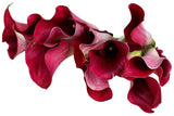 Load image into Gallery viewer, CALLA LILY MINI BURGUNDY (&quot;BLACK&quot;) Bouquet - bloombybunches.ca