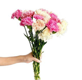 Load image into Gallery viewer, Assorted carnation bouquet for weddings and events (BloombyBunches.ca)