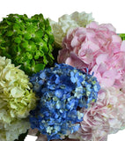 Load image into Gallery viewer, HYDRANGEAS NATURAL ASSORTED - bloombybunches