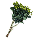 Load image into Gallery viewer, HYPERICUM GREEN - bloombybunches