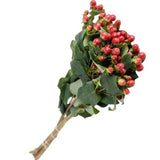 Load image into Gallery viewer, HYPERICUM RED - bloombybunches