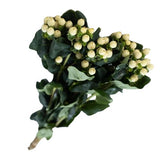 Load image into Gallery viewer, HYPERICUM WHITE - bloombybunches