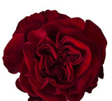 Load image into Gallery viewer, ROSE HEART RED ROSES 50CM - bloombybunches