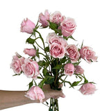 Load image into Gallery viewer, SPRAY ROSE PINK MAJOLIKA - bloombybunches