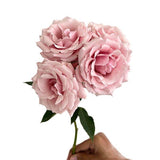 Load image into Gallery viewer, SPRAY ROSE PINK MAJOLIKA - bloombybunches