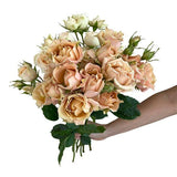 Load image into Gallery viewer, SPRAY ROSE SAHARA SENSATION - bloombybunches