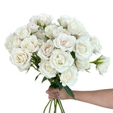 Load image into Gallery viewer, SPRAY ROSE WHITE MAJOLIKA - bloombybunches