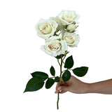 Load image into Gallery viewer, SPRAY ROSE WHITE MAJOLIKA - bloombybunches