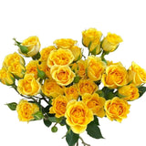 Load image into Gallery viewer, SPRAY ROSE YELLOW BABE - bloombybunches