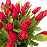 Load image into Gallery viewer, Close up of TULIP RED - bloombybunches